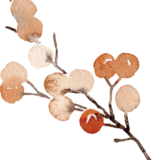 small light berries